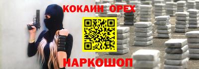 крисы Кулебаки