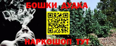 крисы Кулебаки
