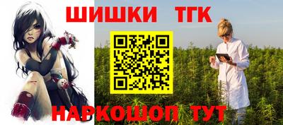 крисы Кулебаки