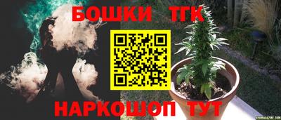 крисы Кулебаки