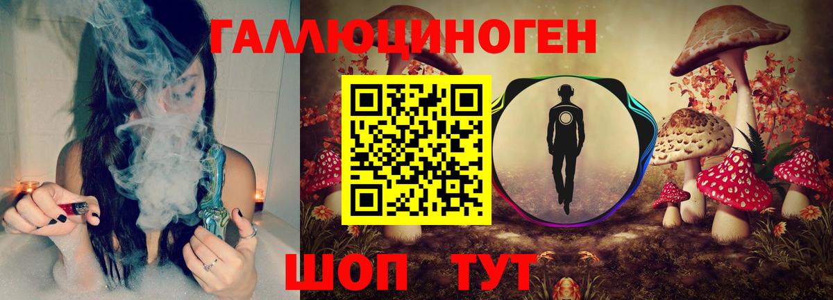 наркотики  Галлюциногенные грибы Psilocybine cubensis  Вход с VPN  Псилоцибиновые грибы Psilocybe  Дербент 